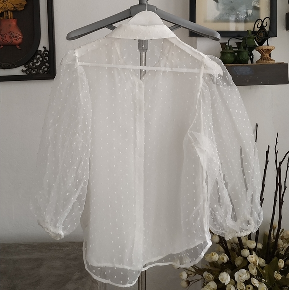 Zara Organza Puff Sleeve Blouse - Picture 4 of 10